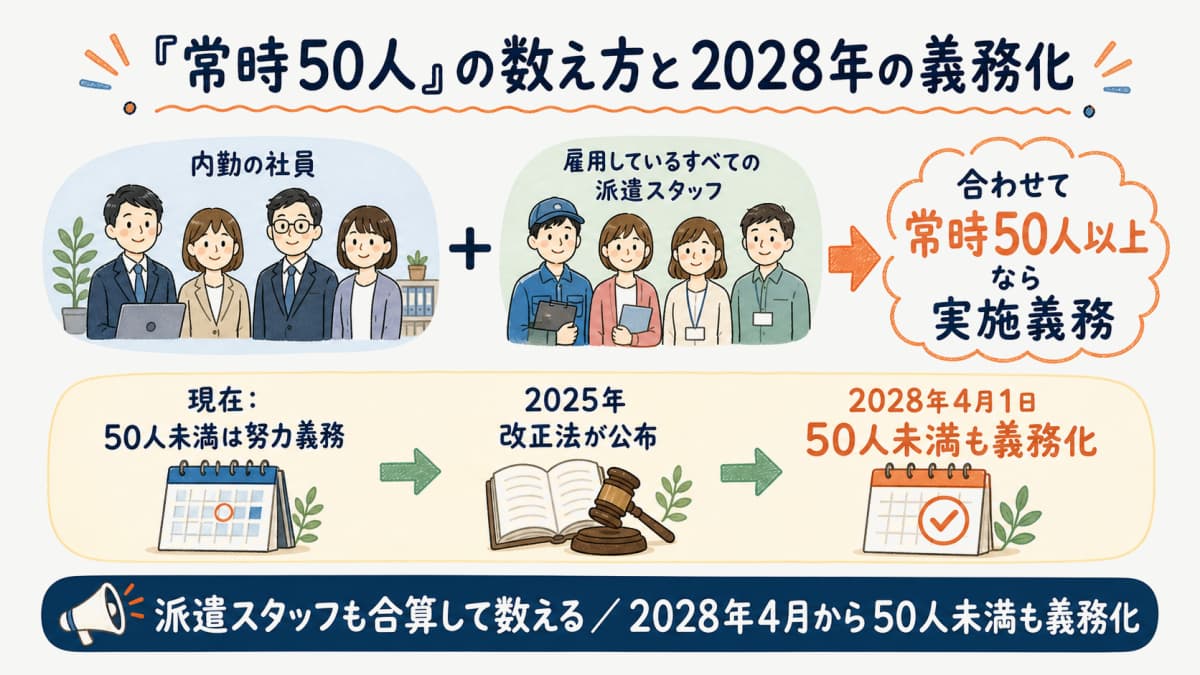 常時50人の数え方と2028年4月の50人未満義務化までの流れを示す図